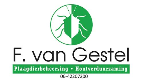 SP Freek-van-Gestel-600x338